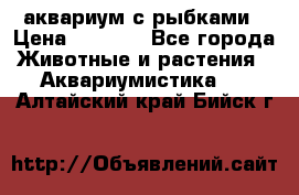 аквариум с рыбками › Цена ­ 1 000 - Все города Животные и растения » Аквариумистика   . Алтайский край,Бийск г.